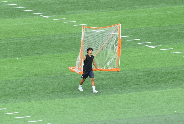 免会有些枯